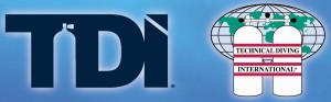 TDI_Logo_new (1)